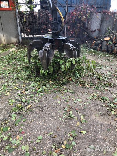 Спил деревьев