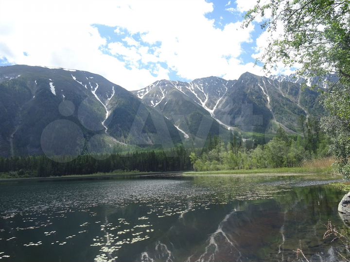 Участок 35 га (СНТ, ДНП)