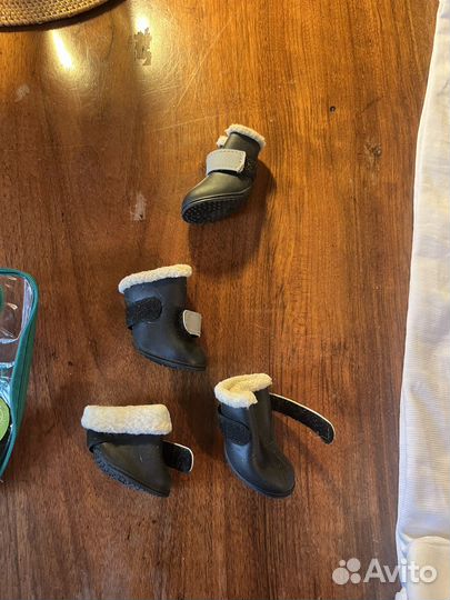 Обувь для маленьких собак