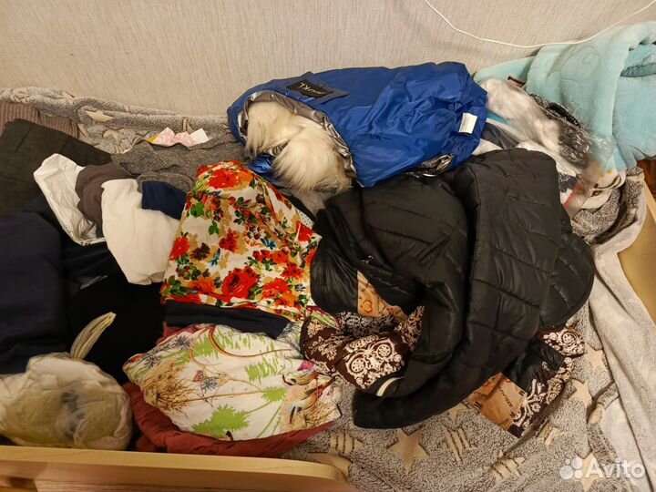 Вещи на девочек подростковые