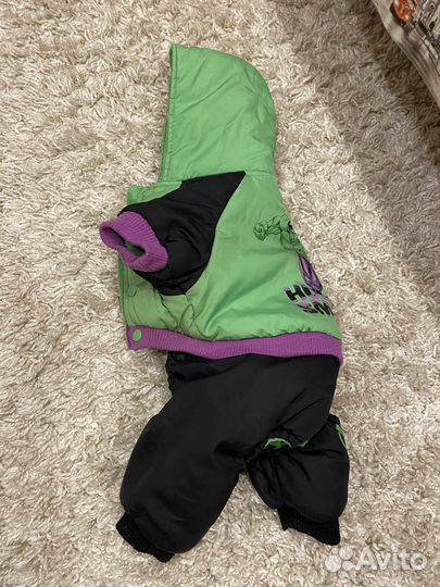 Одежда для собак