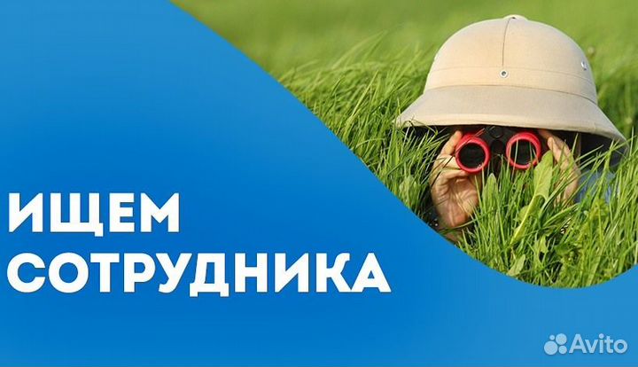 Сборщик аккумуляторов.Еженедельный выплаты