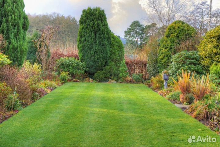 Рулонный газон.Ландшафтное проектирование под ключ