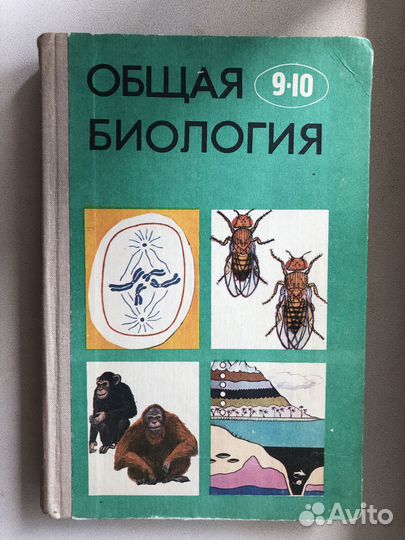 Учебники и пособия