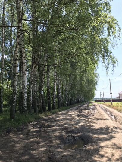 Участок 10 сот. (ИЖС)