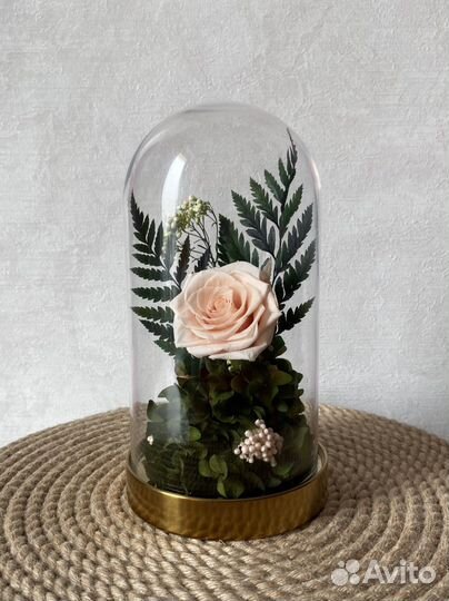 Сухоцветы стабилизированные цветы роза в колбе