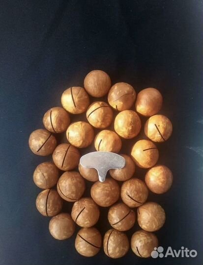Макадамия орех в скорлупе свежий урожай опт