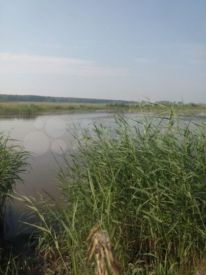 Участок 34,8 га (СНТ, ДНП)