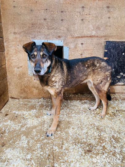 Старушка Магда не знала любви