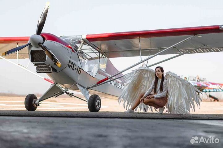 Полет на самолете Як-52, Квант, Cessna, Kitfox