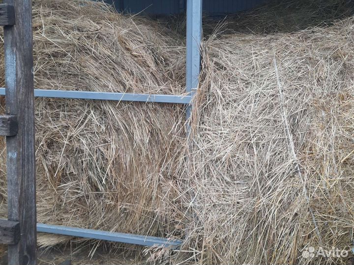 Продам сено в рулонах