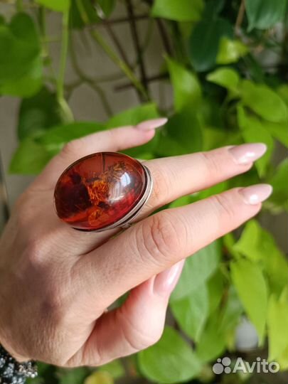 Янтарь кольцо