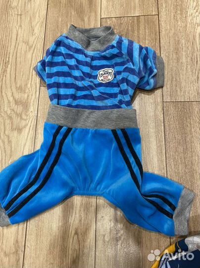 Одежда для собак