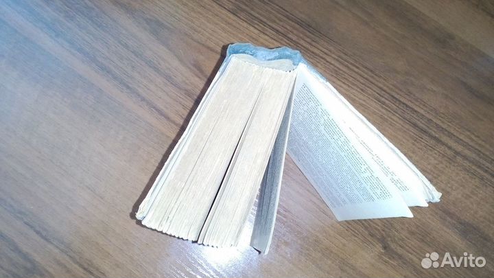 Пошехонская старина М. Е. Салтыков (Щедрин.)