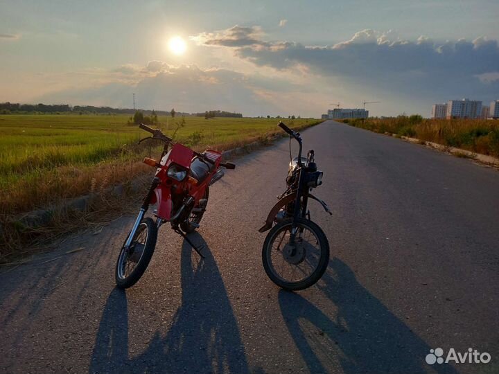 Зид пилот 50