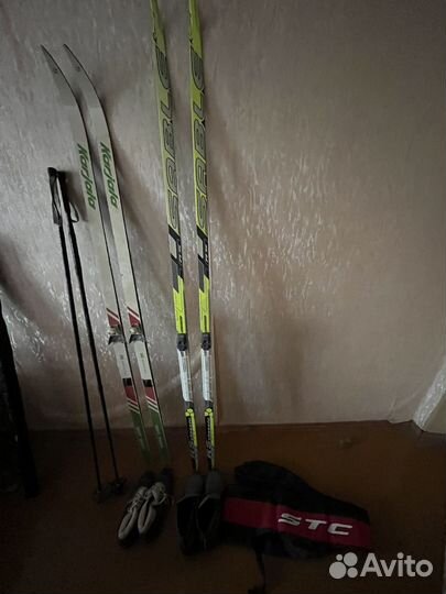 Беговые лыжи