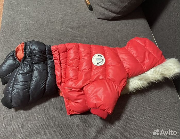 Одежда для собак