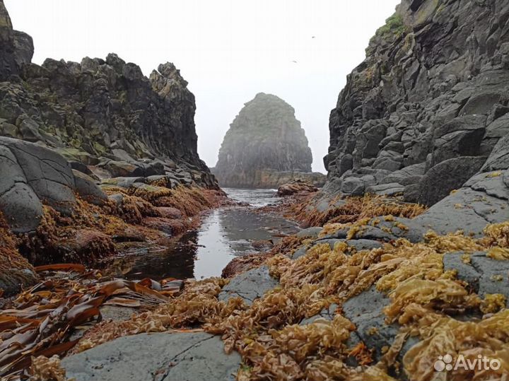 Организация туров на остров Итуруп