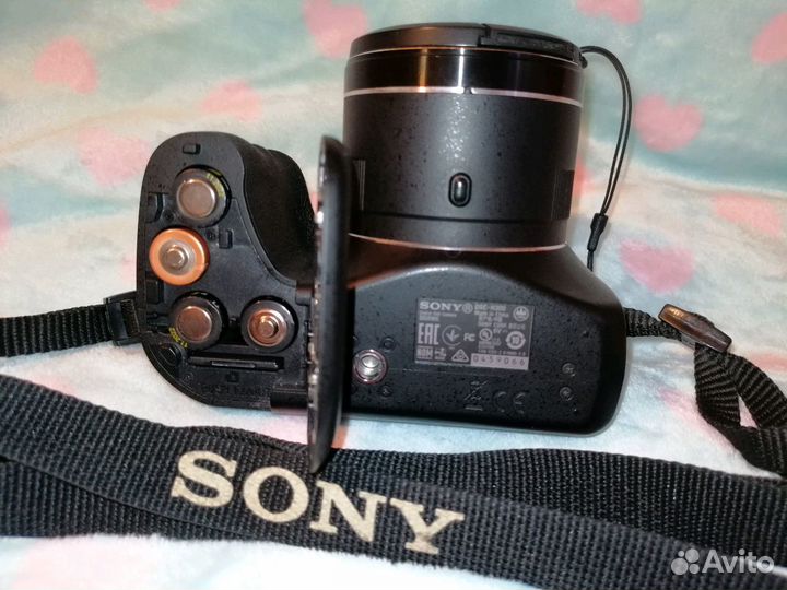 Sony Cyber-shot DSC-H300 (черный)