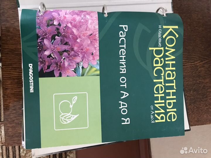 Каталоги комнатные и садовые растения
