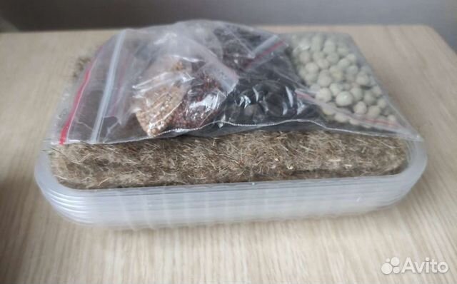 Набор для выращивания микрозелени