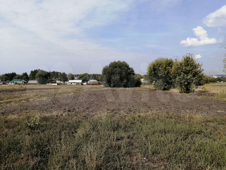 Участок 20 сот. (СНТ, ДНП)