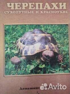 Книга Черепахи сухопутные и красноухие