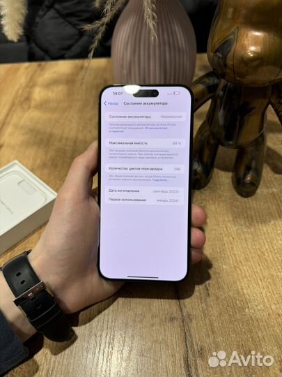 iPhone 15 Pro Max, 256 ГБ