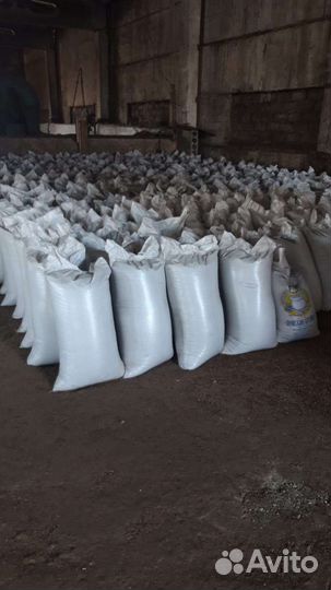 Реализую семена суданской травы