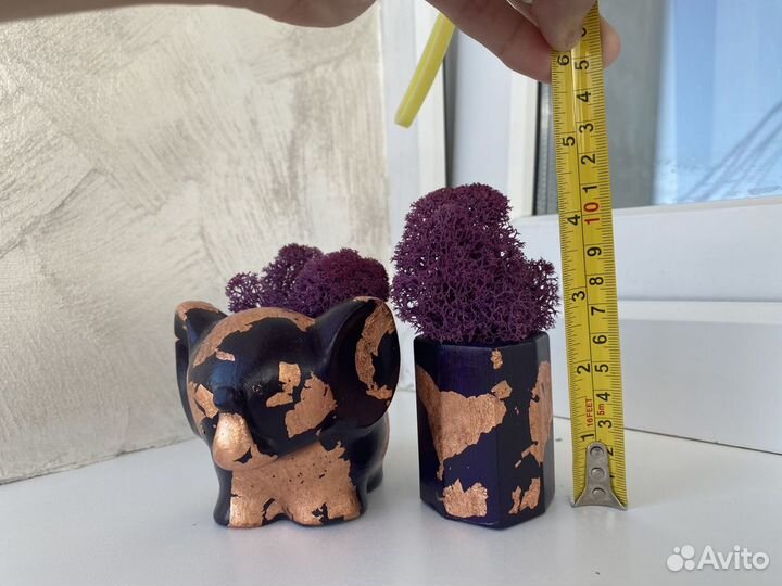 Декор. Стабилизированный мох. Вечное растение