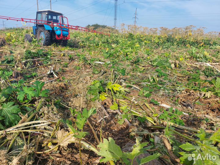 Уничтожение борщевика, комаров, мошек и др