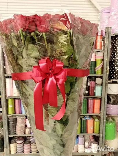 Высокие розы