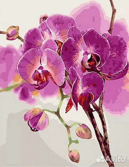 Картина по номерам Paintboy, р 40*50 см