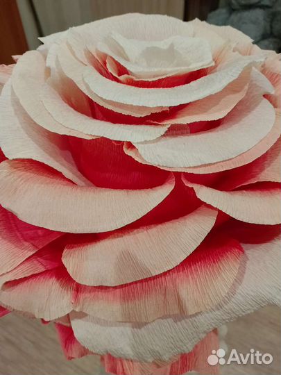 Ростовой цветок для фотосессии