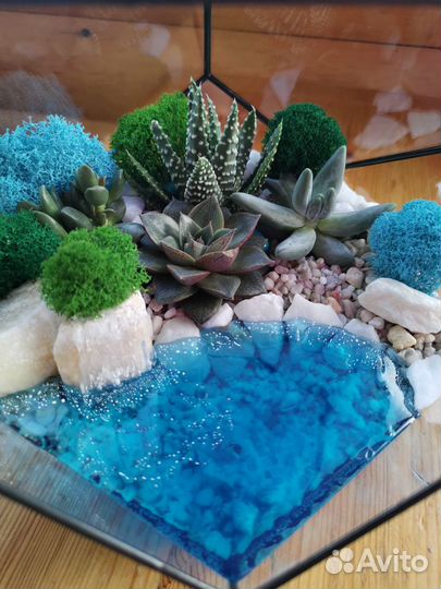 Флорариум с живыми растениями