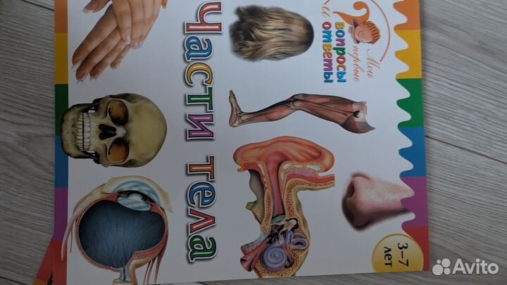 Энциклопедия для детей