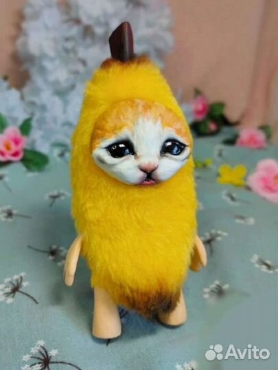 Кот в банане мем