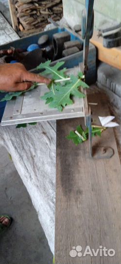 Табакорезка