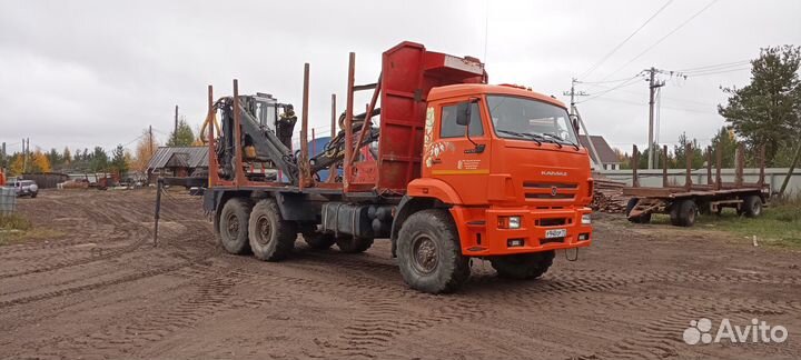 КамАЗ 43118 с КМУ, 2017