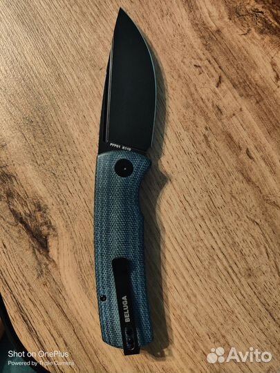 Petrified fish Белуга