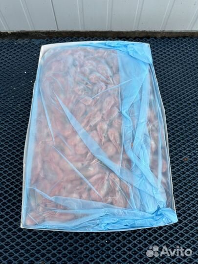 Креветка северная свежий улов