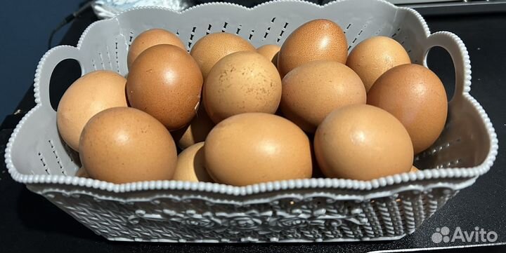 Домашние куриные яйца