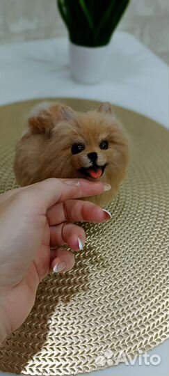 Мопс из шерсти