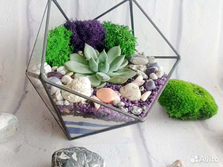 Флорариум Икосаэдр