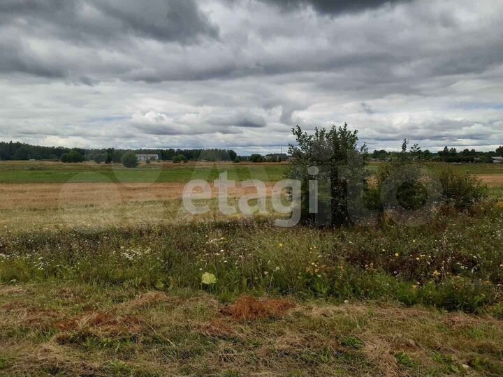 Участок 40 сот. (СНТ, ДНП)