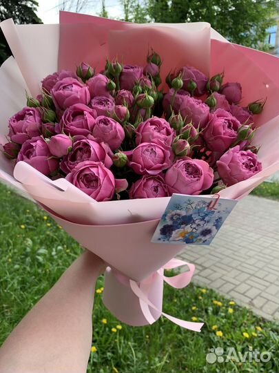 Пионовидная кустовая роза мисти баблз