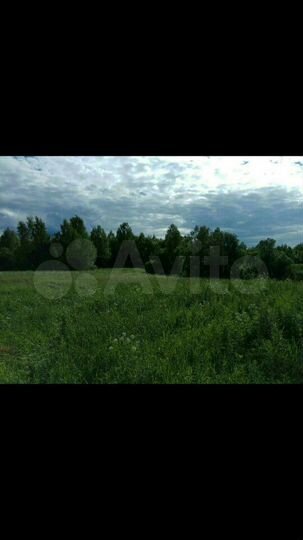 Участок 1,16 га (ИЖС)