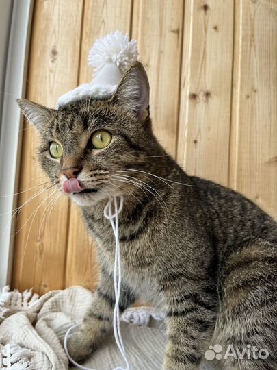 Колпак на день рождения