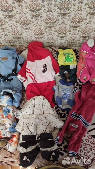 Одежда для маленьких собачек