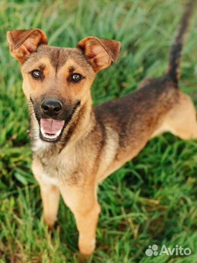 Мальчик Боня ищет дом